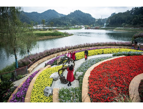 五大连池城市绿化护栏规范