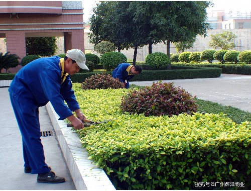 唐山城市绿化管理条例立法