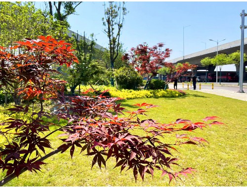 天水城市绿化管理局