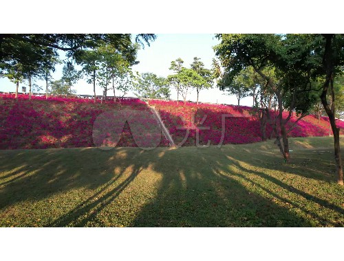 双鸭山城市绿化管理局