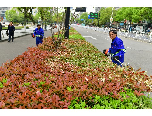 徐汇区景观绿化工程价格